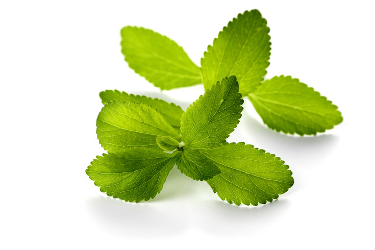 stevia